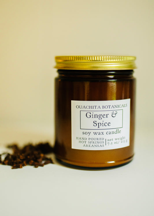 Ginger & Spice Soy Candle | 30 hr burn time