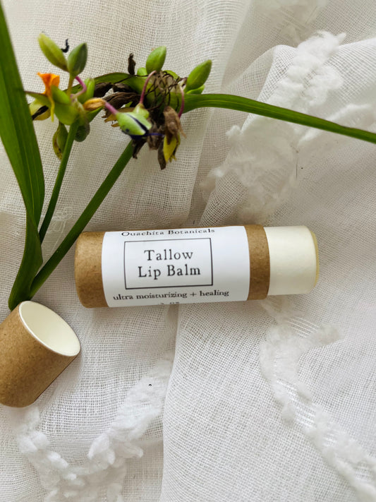 Tallow Lip Balm