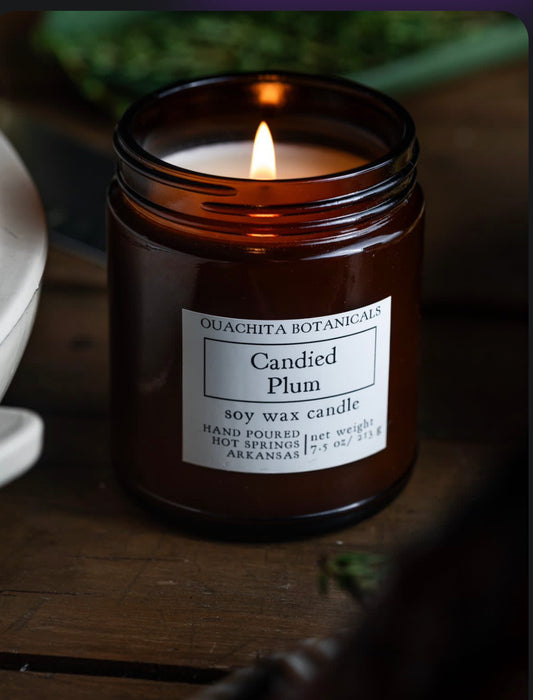 Candied Plum Soy Candle